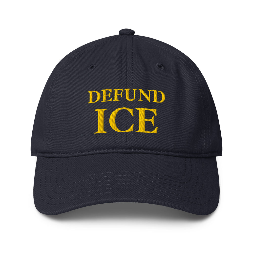 anti ice cap, defund ice support
