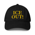 out with ice cap black hat